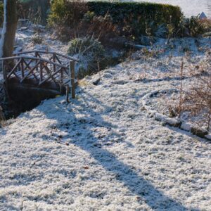 winter garden covered in snow 